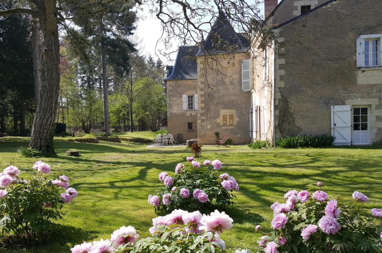 Manoir Du Bellay Bed and Breakfast Montreuil-Bellay Exteriör bild